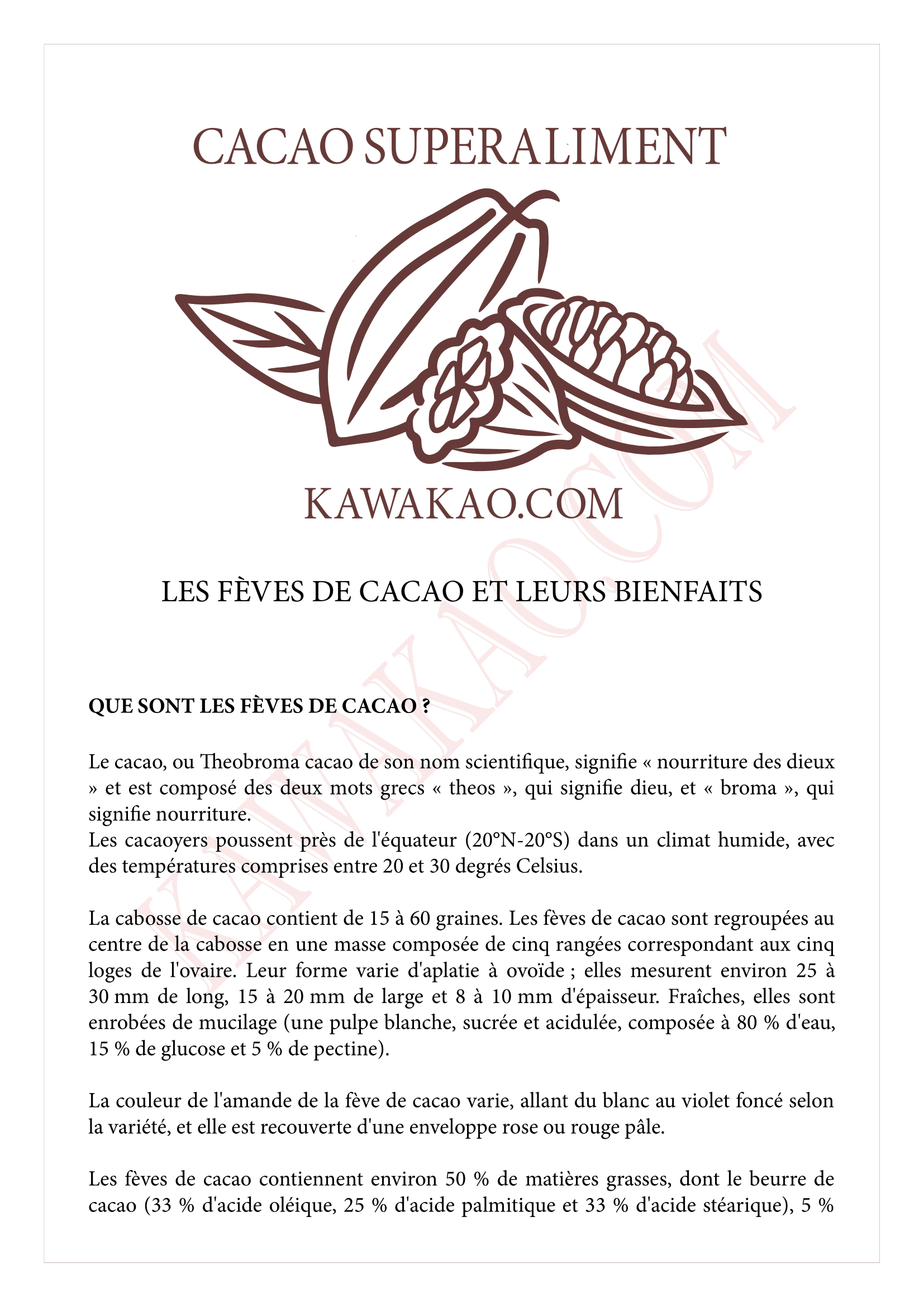 bienfaits tisane cacao page 1