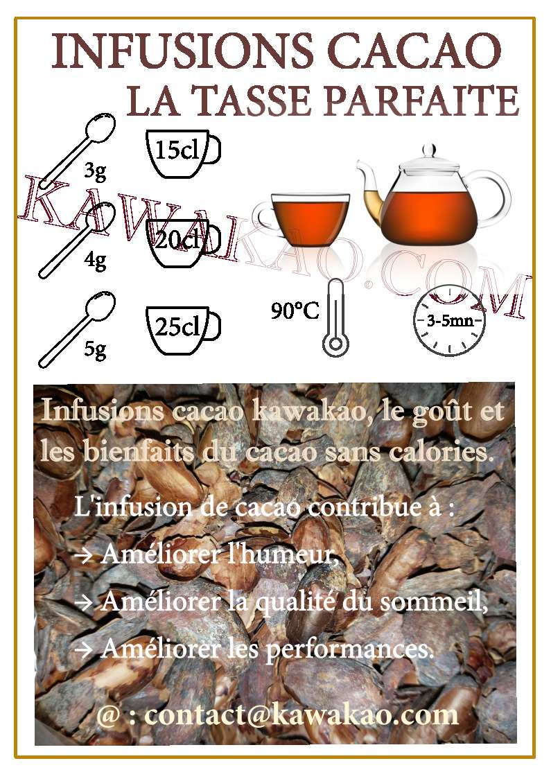 préparer la tasse parfaite de tisane cacao